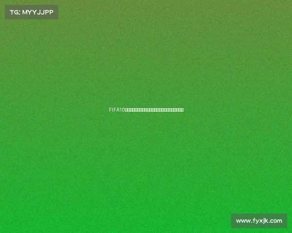 FIFA10世界杯主题回顾与经典赛事足球盛宴全景再现时代记忆